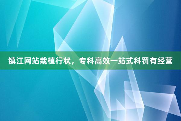 镇江网站栽植行状，专科高效一站式科罚有经营