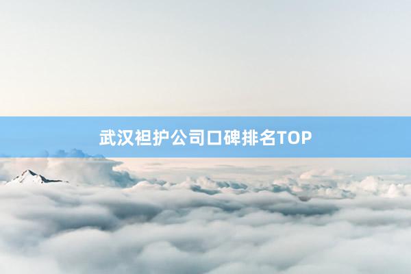 武汉袒护公司口碑排名TOP